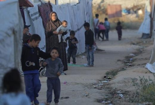 الأونروا: الجرذان تهاجم أطفال غزة أثناء نومهم في الخيام